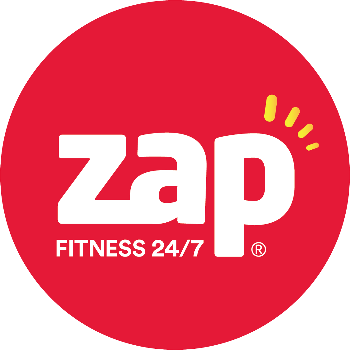 Zap Brand Standards Audit