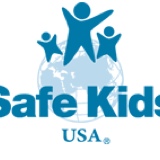  Child Passenger Safety Inspection Form