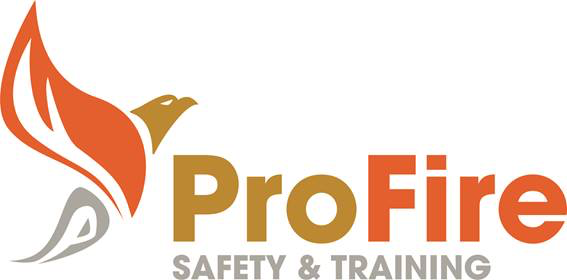 Pro Fire Initial School Audit