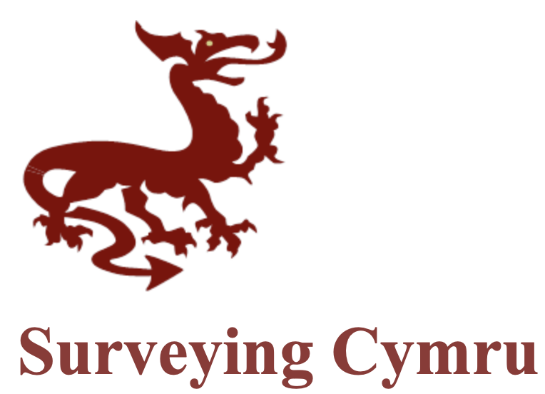 Surveying Cymru Post Works Report V3