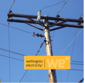 NGA - Wellington Electricity pole information