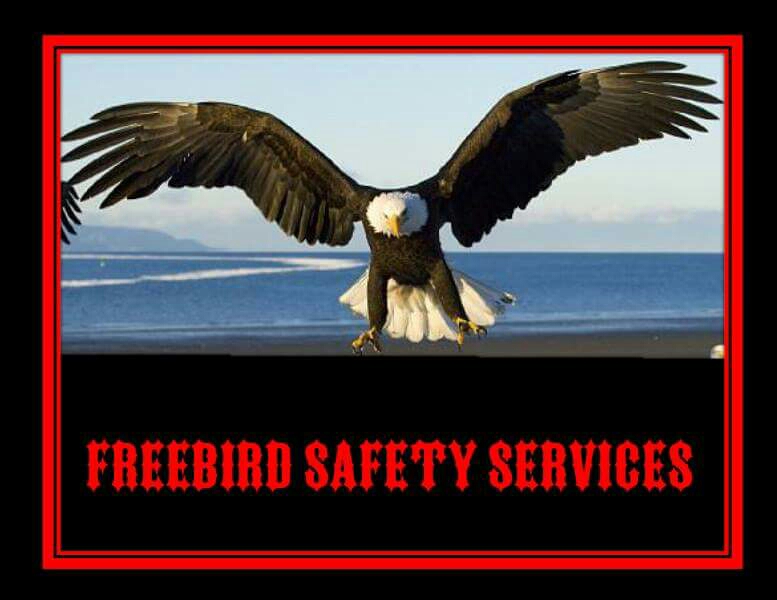 FreeBird Safety Services  Main Audit 