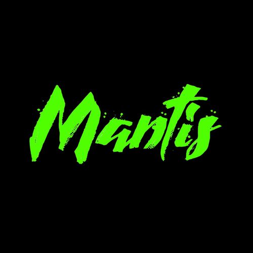 Accident Report Form (Mantis)