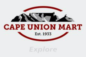 Full Optimization Check - Cape Union Mart.