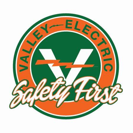 Valley Electric Safety Audit
