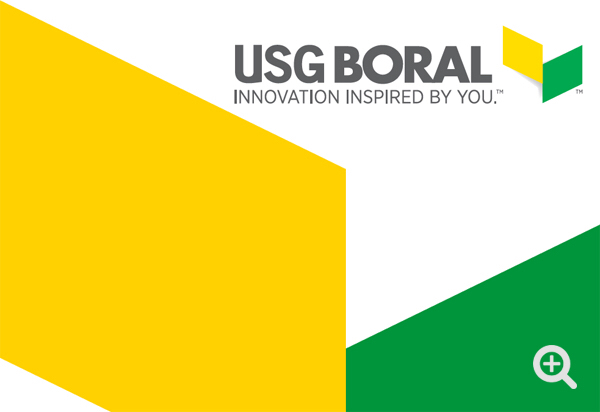 USG BORAL Plastering Contractor HSE Snap Audit