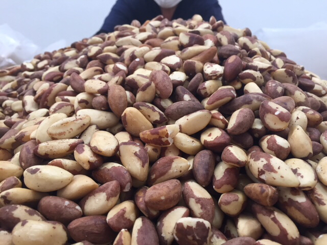 Empire Pacific Brazil Nuts Inspection