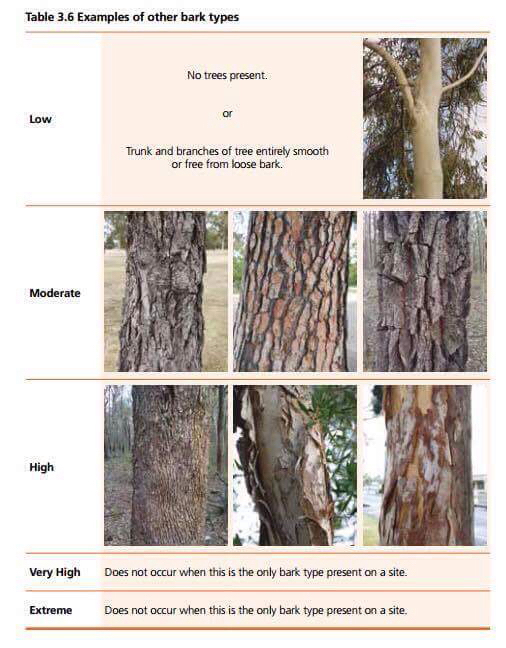 Other Bark