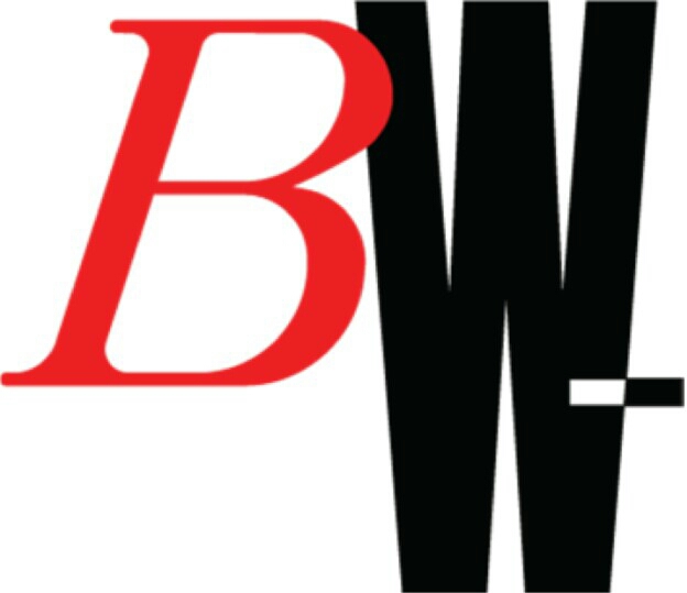 B.W. Watermain - Asset Audit