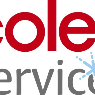 Coles Services Store Visit
