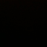 Site Inspection Record