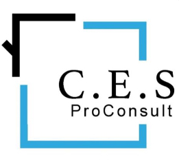 VT MAR CES PRO CONSULT 3