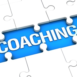 Coaching Audit