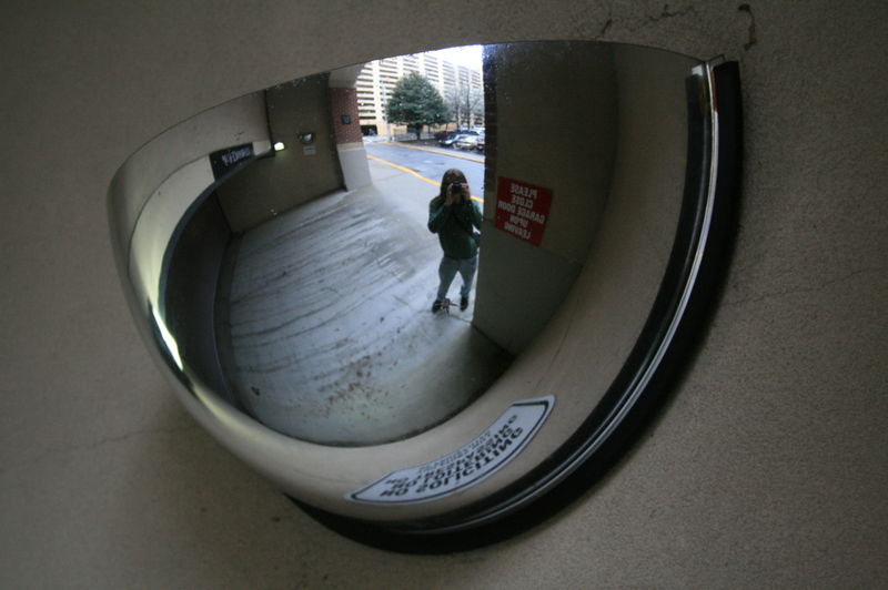 fish-eye mirrors.jpg