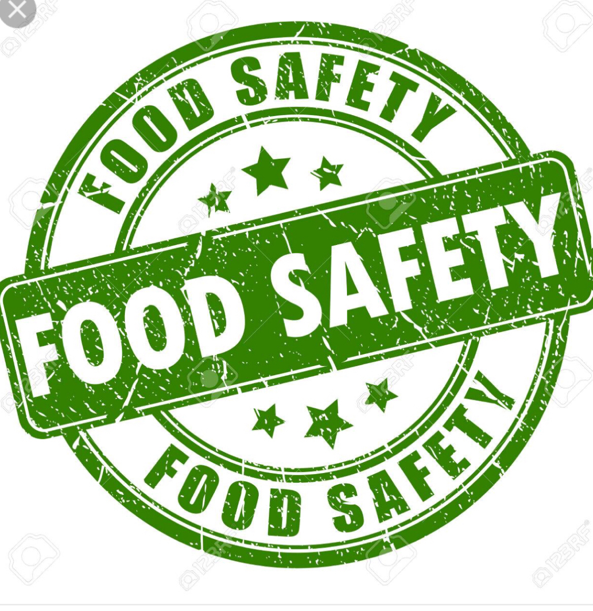 Food Safety Daily Checks
