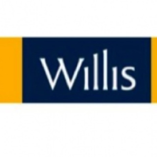 Willis WHS Risk Profile Audit 