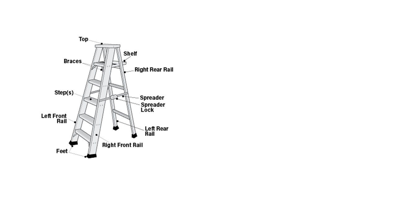 step ladder.jpg