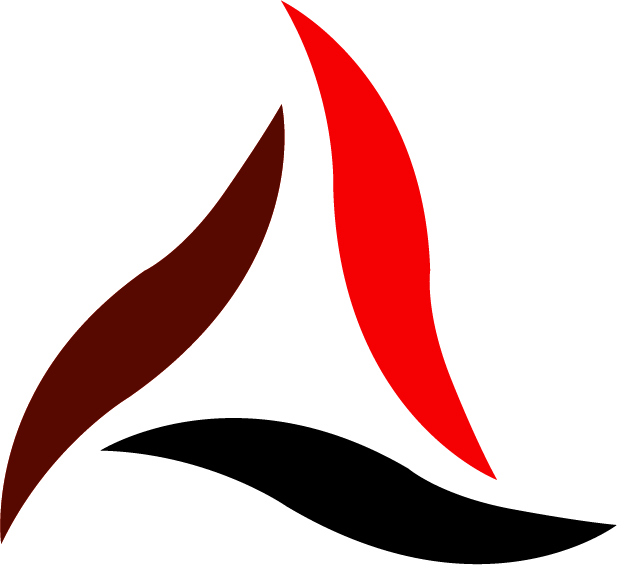 Lateral Leadership Daily Operational Standards Checklist