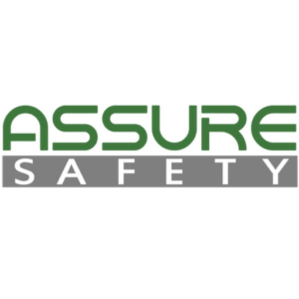 Assure Safety WSHE Inspection Checklist Service Report for Terrenus Energy