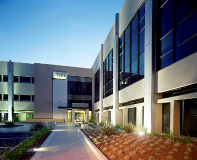 exterior bushes cpted.jpg