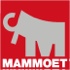 Mammoet Inspection - Cranes