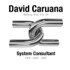 David Caruana Systems Consulting - General Auditing