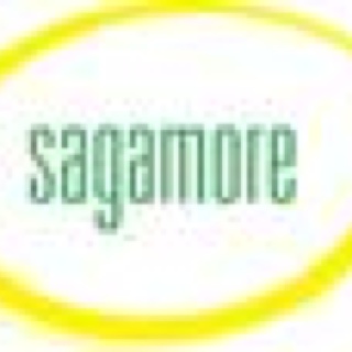 Sagamore Mechanical EHS Department - duplicate