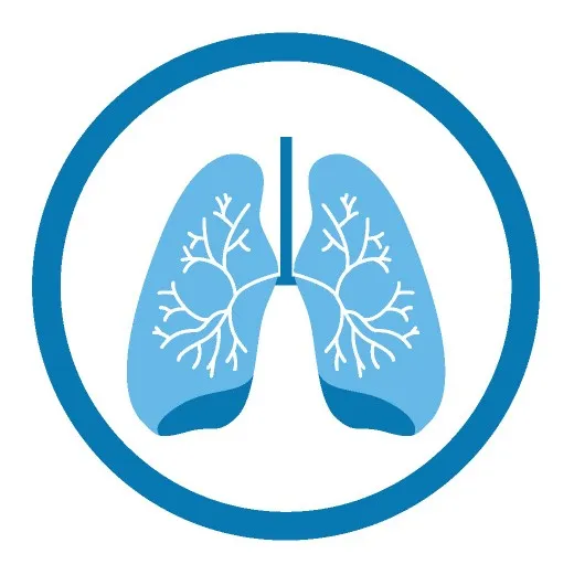 UM WalkRound Cross Audit - Bronchoscopy