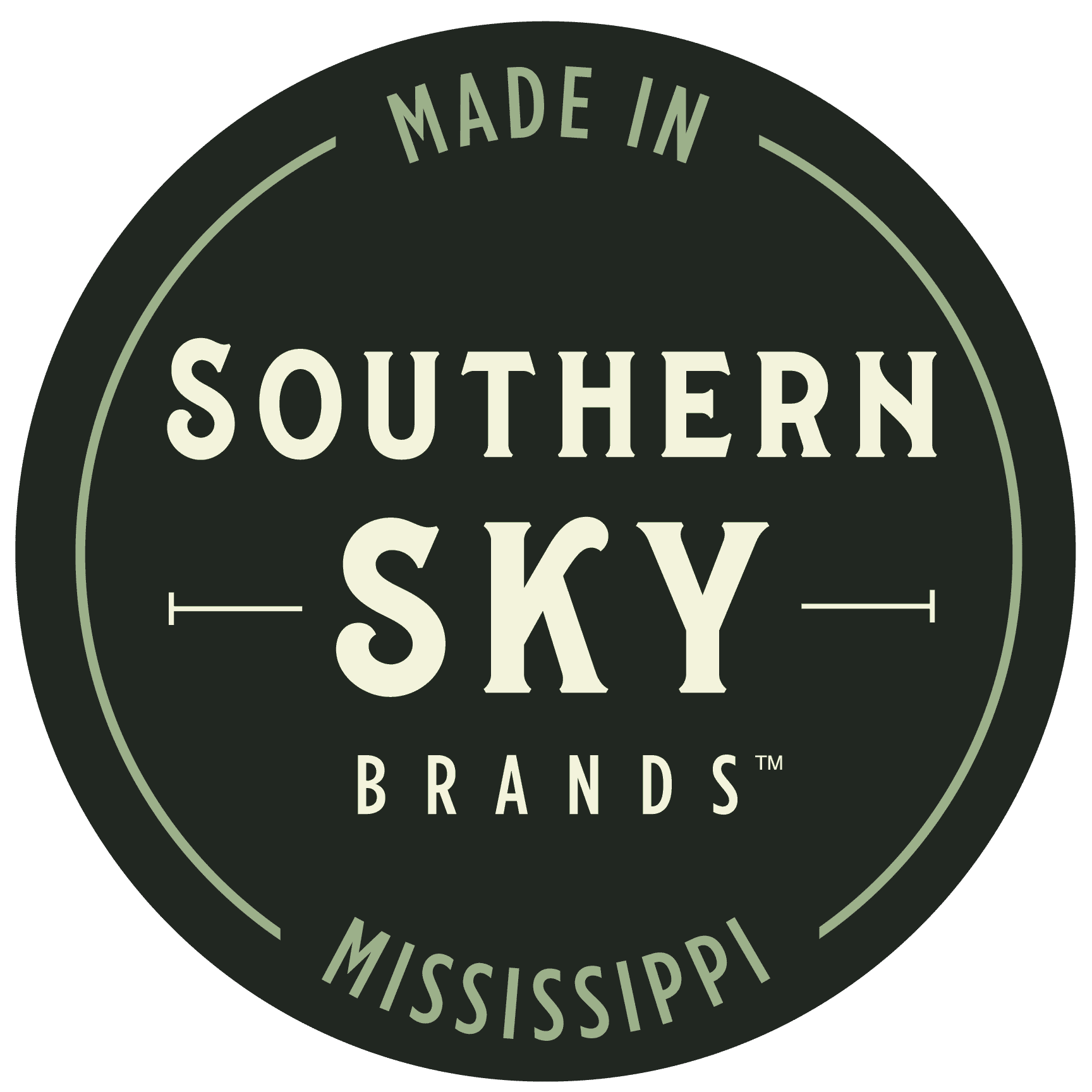 Southern Sky Brands Site Audit 