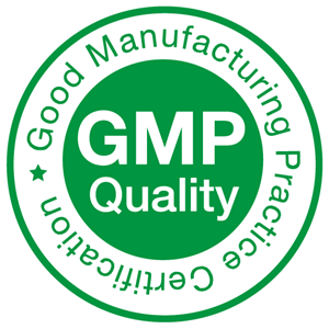 GMP-Audit - Final - TemplateMaster