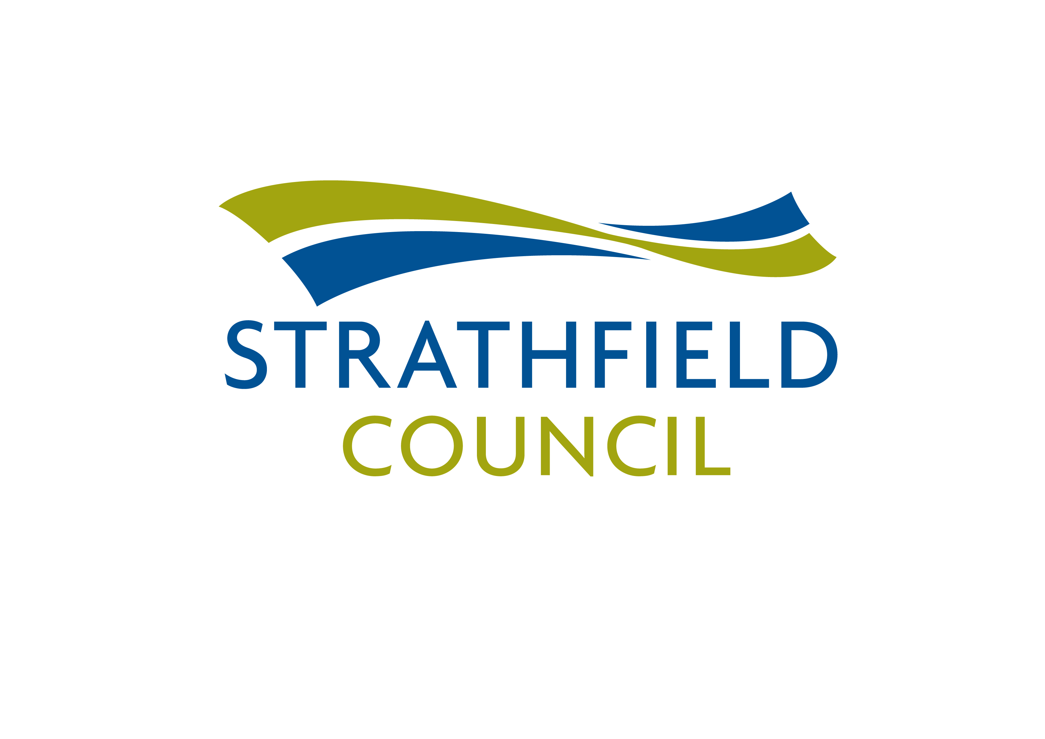 Strathfield Council Skin Penetration Inspection Report
