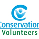 Site Safety Inspection Report