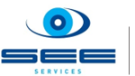 SEE-Services REPORT
