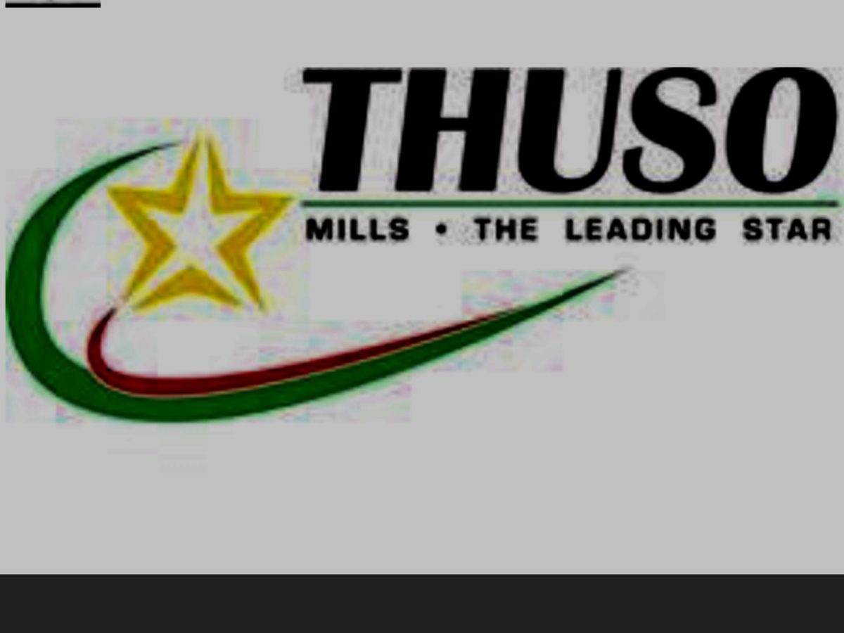 Thuso Mills Audit