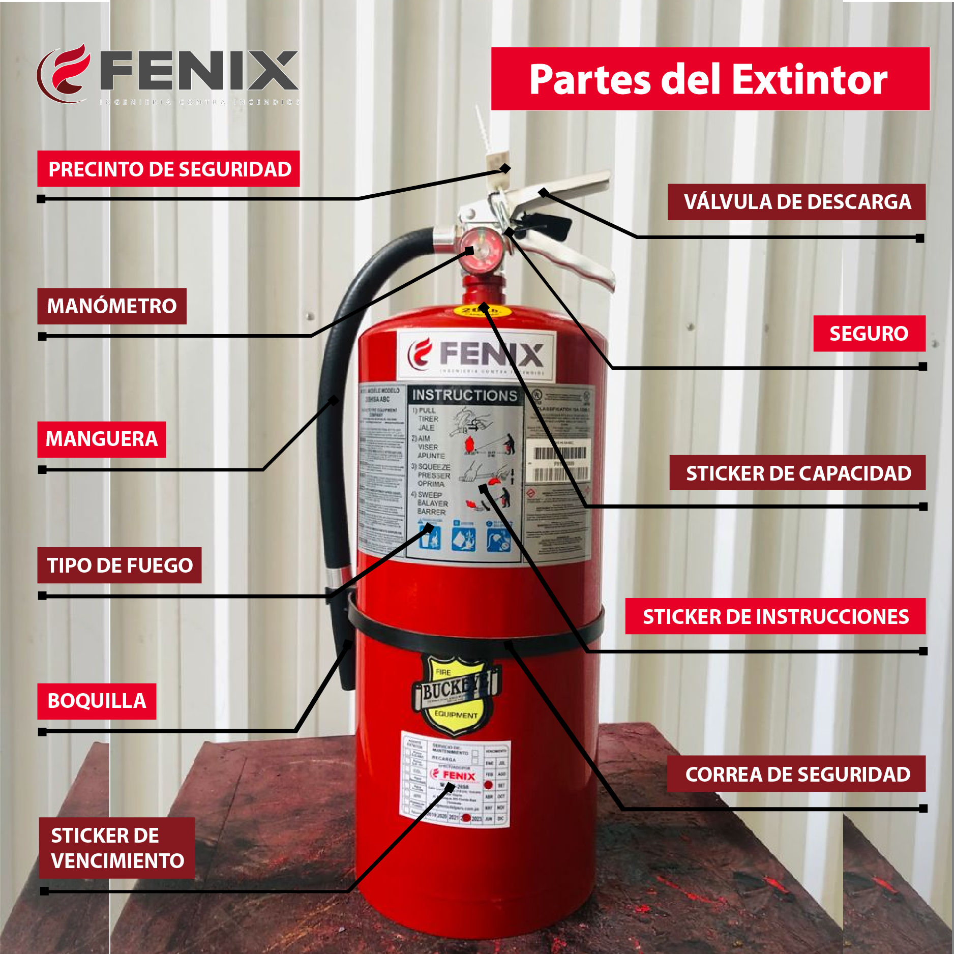 INSPECCIÓN EXTINTORES 