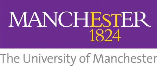 UoM FSE Standardised Inspection Template - October 2021