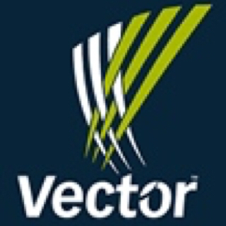 ***--DRAFT--***_Vector New Health & Safety Assessment