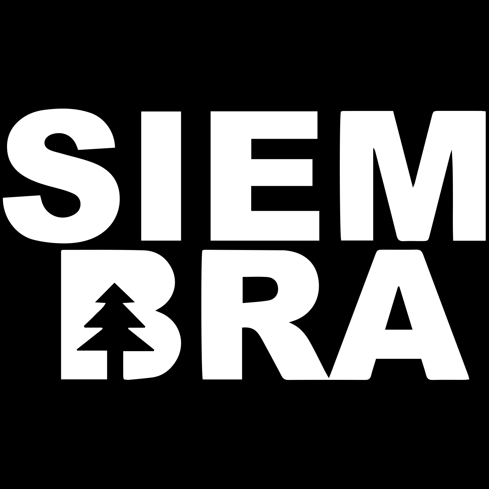 Safety Inspection DRAFT