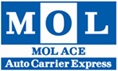 MOL Captain Ashok - MOL ACE - Audit Checklist - 2023