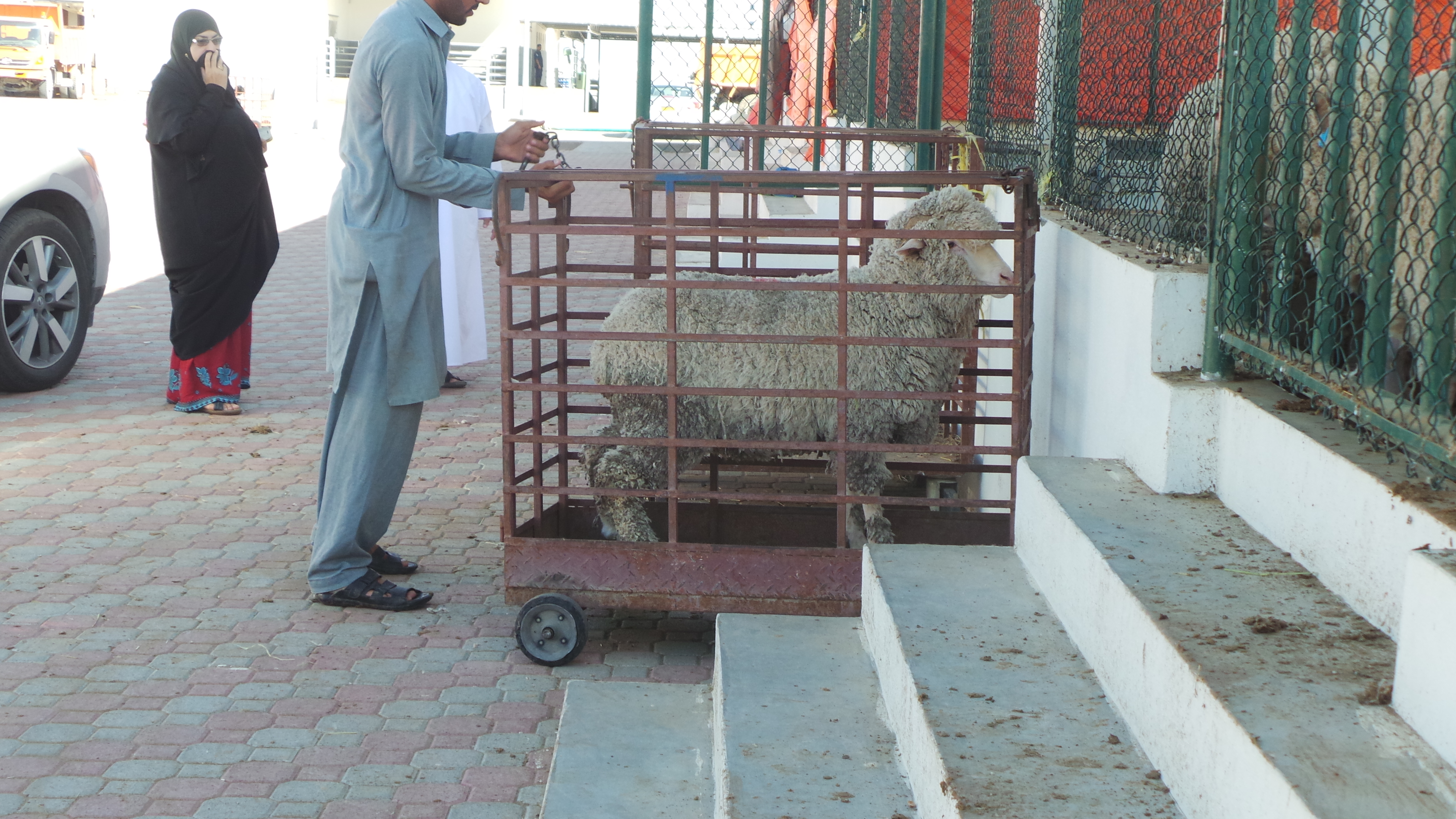 ESCAS Oman Internal Audit