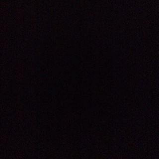 Global Facilities Standards Checklist