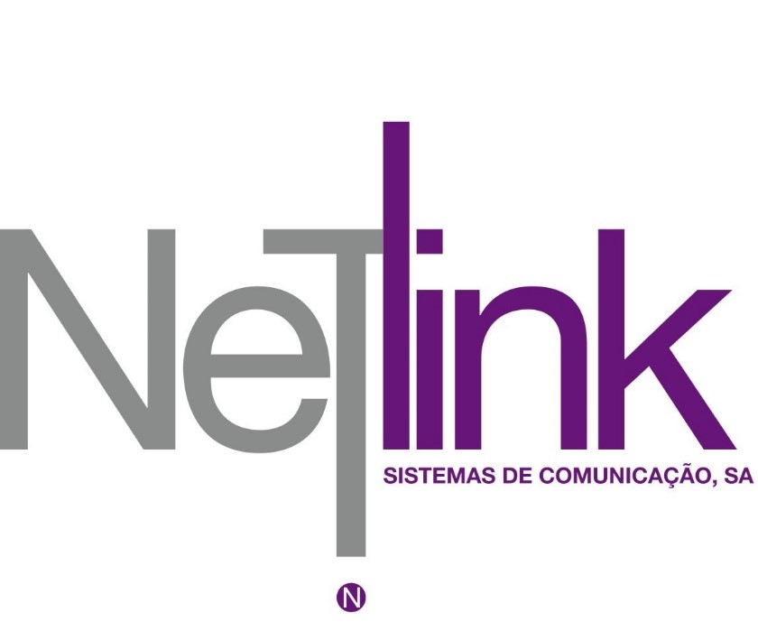 Relatório de Auditoria Netlink