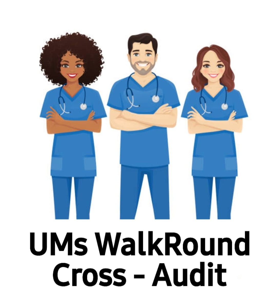 General Standards - UM WalkRound Cross Audit