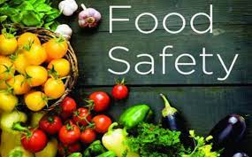 Food Safety Audit ITA