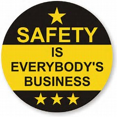 Safety Risk Assessment - ZONE #12