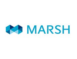 Marsh - Cyber Checklist