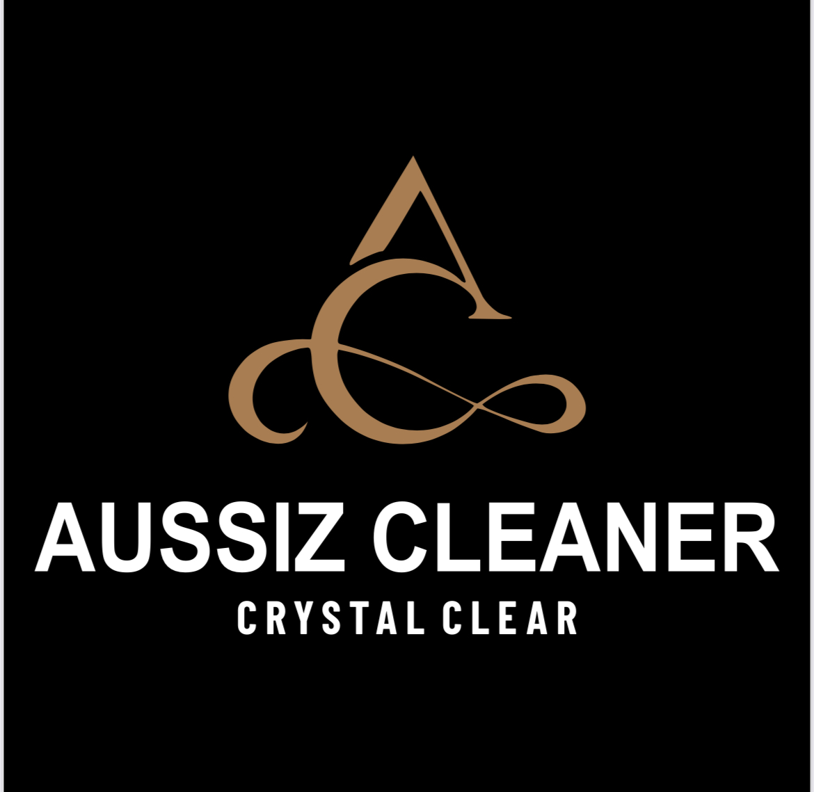 AUSSIZ CLEANER INSPECTION REPORT