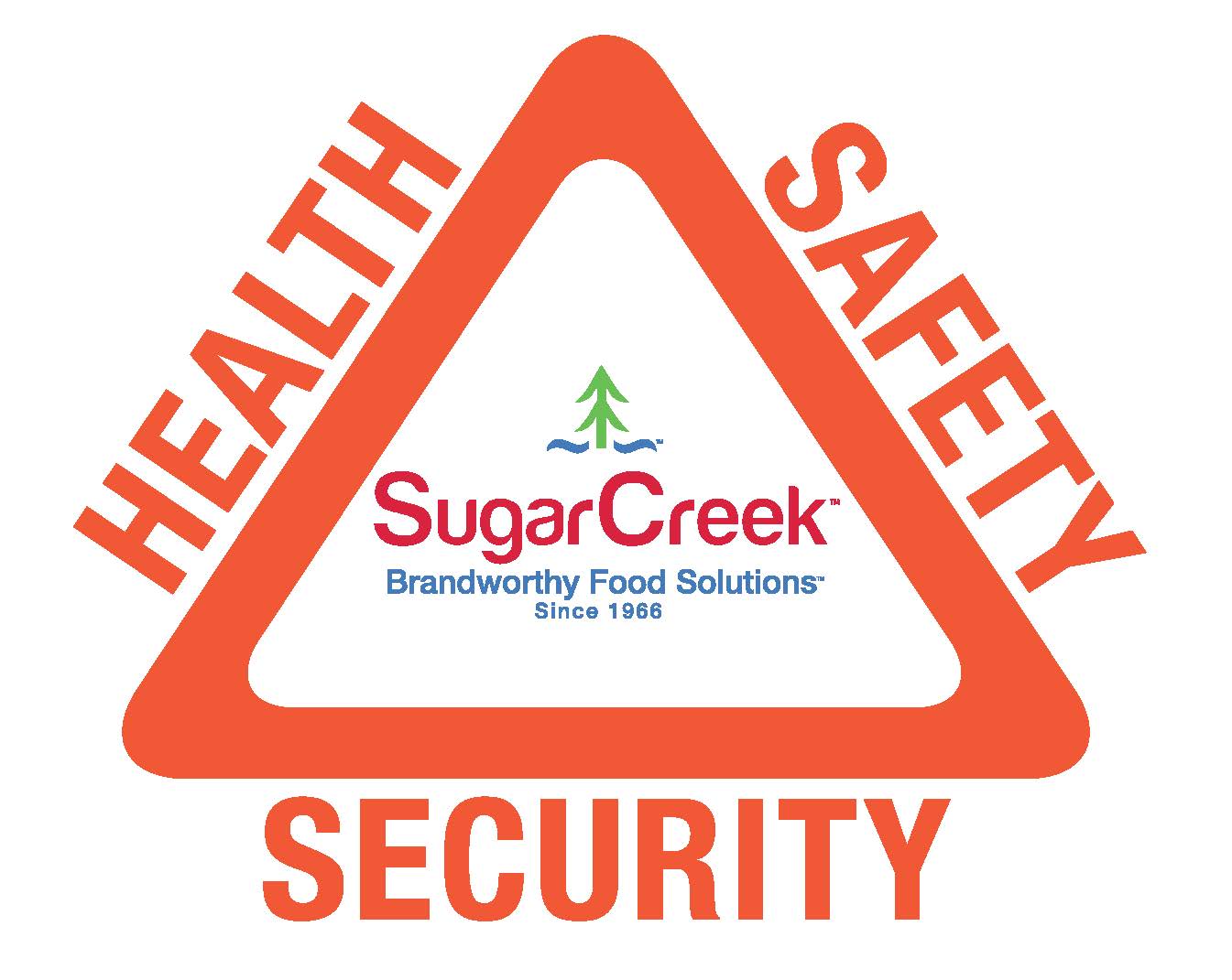 Health and Safety Systems Audit