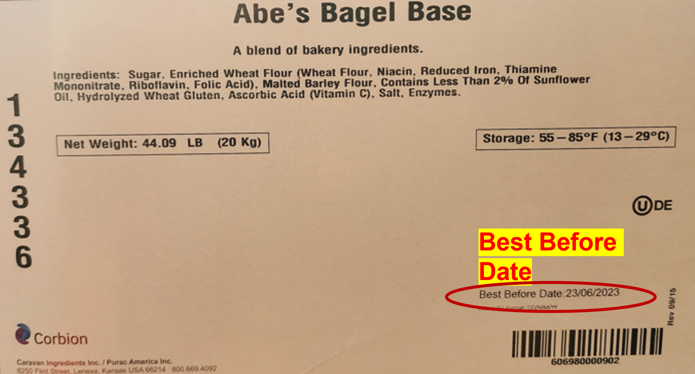 Bagel Base.png