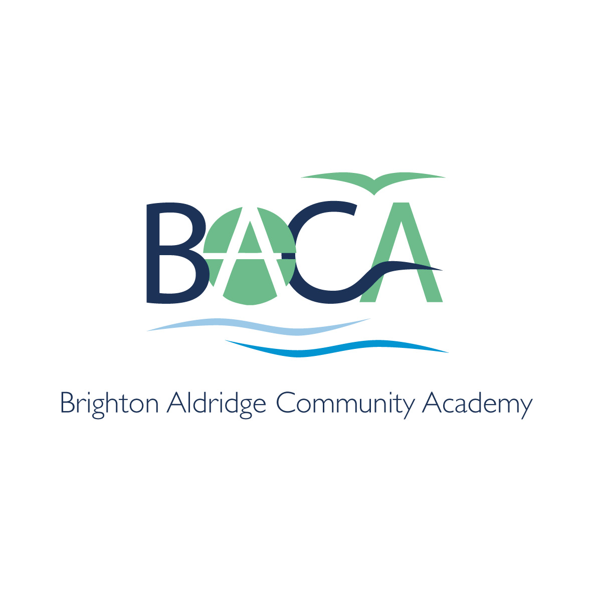 BACA Health and Safety Management Audit Tool- Feb 17